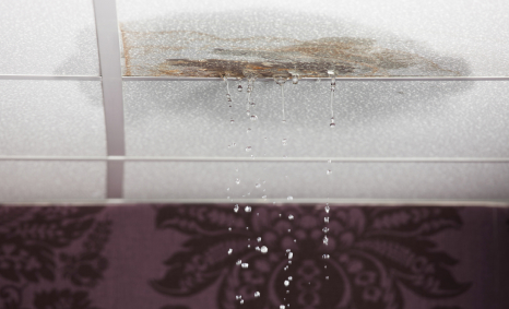 Plumber Brighton East